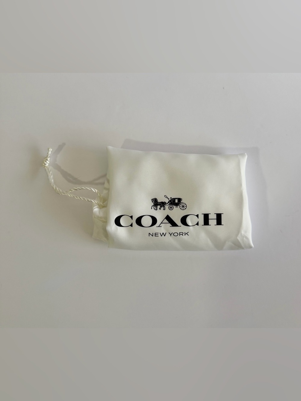 COACH Rainbow Candy Crystal Hamptons Hobo Bag - Picture 14 of 14